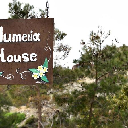Plumeria House Архангелос Экстерьер фото